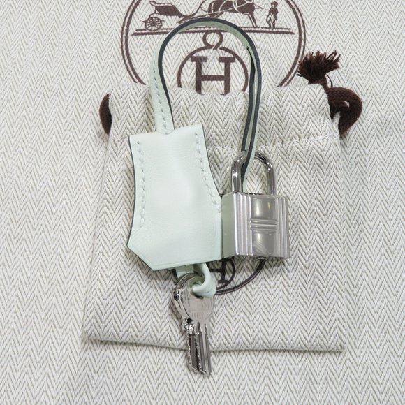 HERMES Hermes Birkin 25 Handbag Vert Fizz Silver Hardware Swift B Stamp C71 W... - Picture 16 of 16